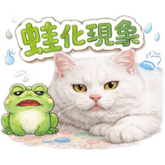 Punipuni_20260218144130