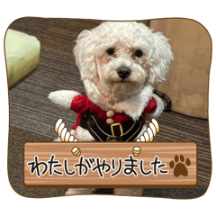 毎日使える可愛いワンコ