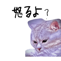 gam_shake_20260218150041