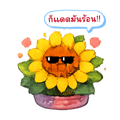 I am cactus summer holiday