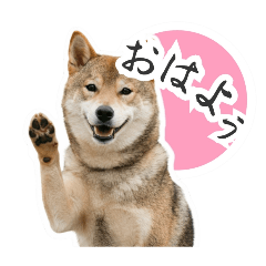 bannan_20260218170637