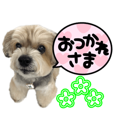 ranbo_20260218181649