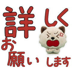 Polite Minuet Cat 11