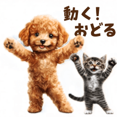 Animated! Dancing Toy Poodle & Cat