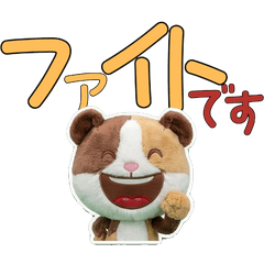 Polite Guinea Pig 11