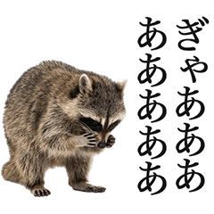 Forever Usable Raccoon (Realistic)