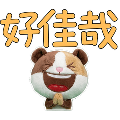 ภาษาไต้หวันขยับได้ หนูแกสบี้ 34