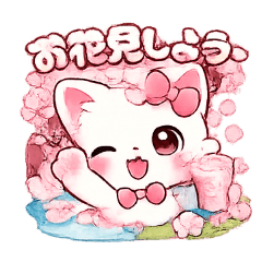 momo_20260218154720