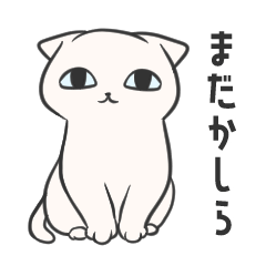 Mochi Cat Daily(White)