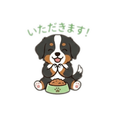 claire_20260218161234