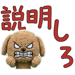 Plush Labradoodle 9th