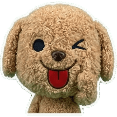 Plush Labradoodle 7th