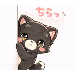 Cozy & Healing Black Cat Pigaro