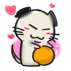 スコティッシュフォールドのミミクロ