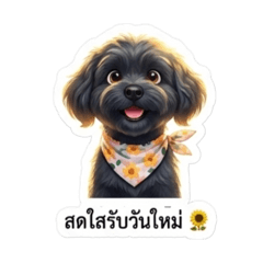 Tom Suriya_20260218160300