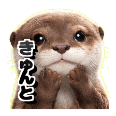 Fluffy Otter Slang Parade