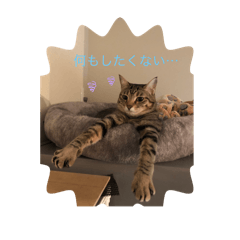 nagano_20260218235341