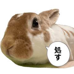 tamamo_20260218235243