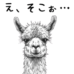 Stylish Alpaca Sticker