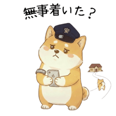 Shiba Inu Safety & Security Stickers No2