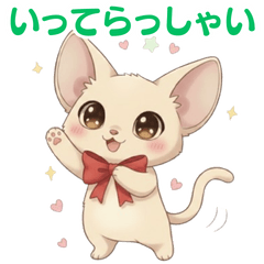 Daily Life with Sweet Devon Rex Cream