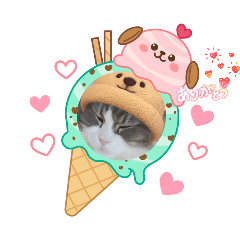 nekosuki_20260218191531