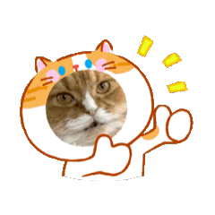 Shinji Yurino_20260218201354