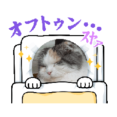 kururun_20260218205305