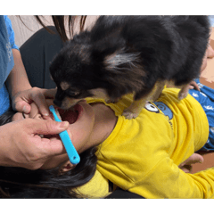 eeeee_20260218215509