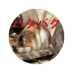 yuuta_20260219105049