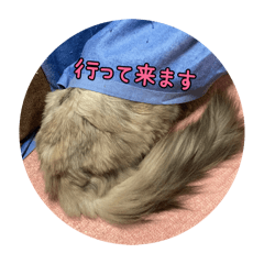 eririn_20260218184640