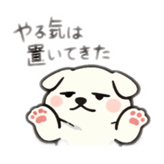 dog..zz
