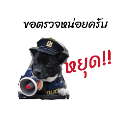 CuteMood Studio_20260218180549