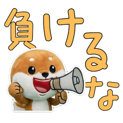 Plush Mame Shiba 9th