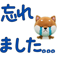 Animated Polite Mame Shiba 12