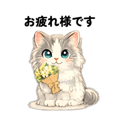 Ragdoll chan Japon 1