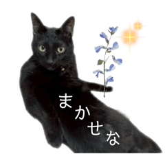 Haruka_20260218232652