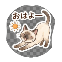 mumuco_20260219060517