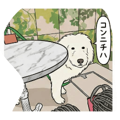 mumuco_20260219062413