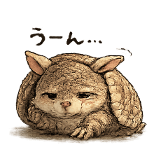 mikan_20260219062429