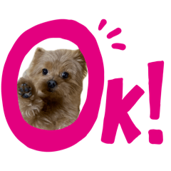 Uedasan_20260218180853