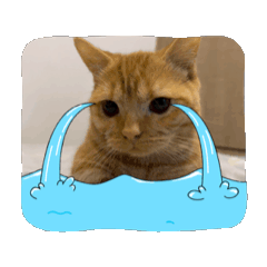 罐頭奶油呷貢丸1