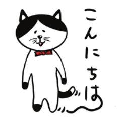 エブリデイハチワレ猫さん