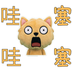 Taiwanese Labrador 33