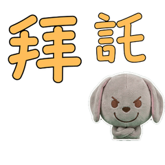 Taiwanese Weimaraner 33