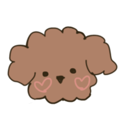 Shimazaki_20260218224004