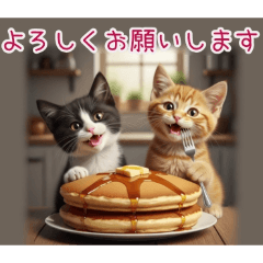 PAKAMOGOLY_20260218230518