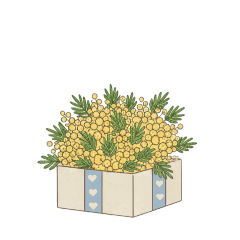 kazkaz_20260219100427