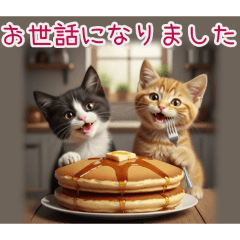 PAKAMOGOLY_20260218230338