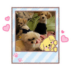 kazoku_20260218230548